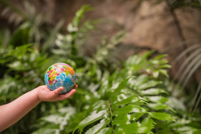 Acción Biodiversidad