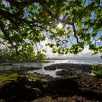 Acción Biodiversidad