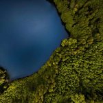 Educación ambiental para un futuro sostenible
