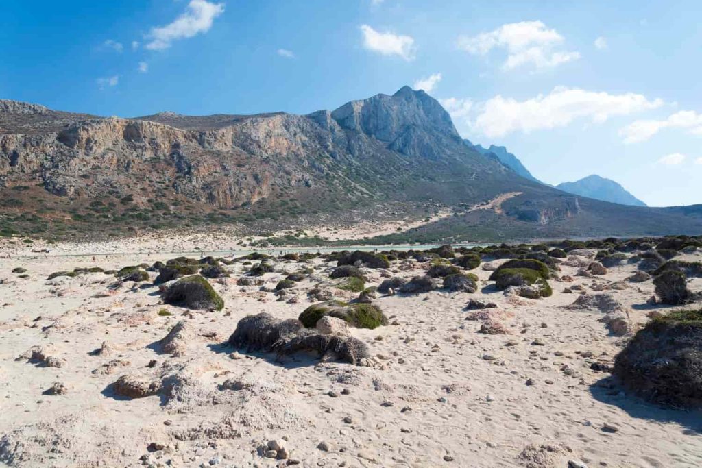 Oasis de niebla en los desiertos de Chile y Perú: un contraste asombroso de vida y aridez