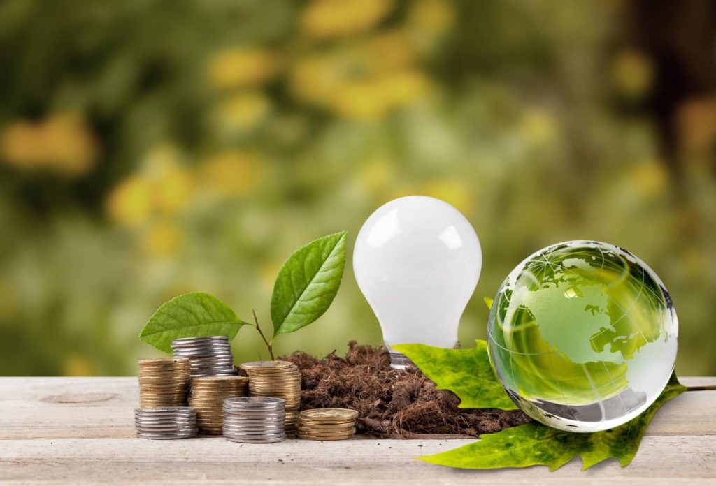 Biodiversidad y desarrollo económico: un enlace inseparable