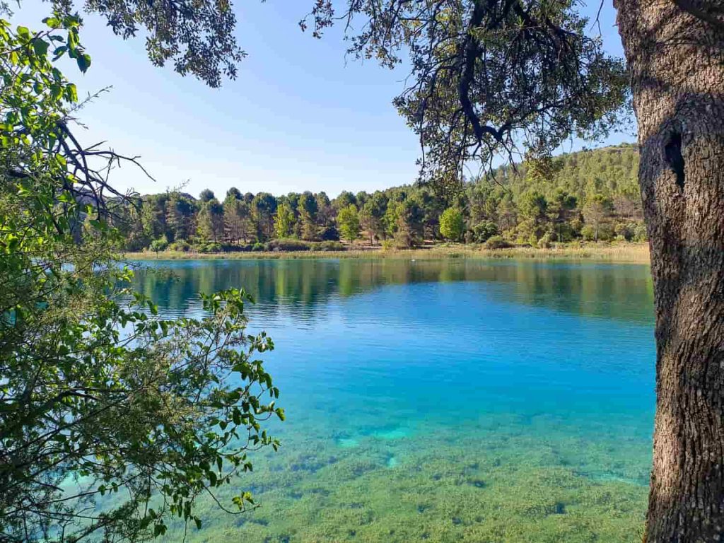 Paisaje natural de América Latina, reflejo de su biodiversidad única