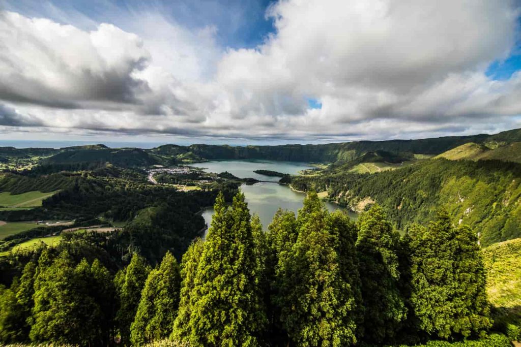 Biodiversidad en Paisaje Natural: Especies y Ecosistemas Variados