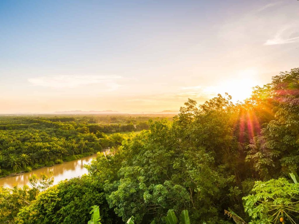 Diversidad Biológica en Países: Especies Variadas y Ecosistemas Únicos