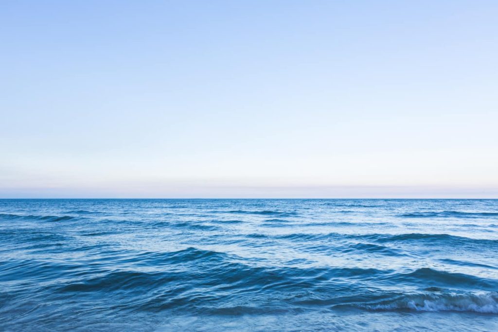 Paisaje marino: Fragilidad y belleza de los ecosistemas marinos