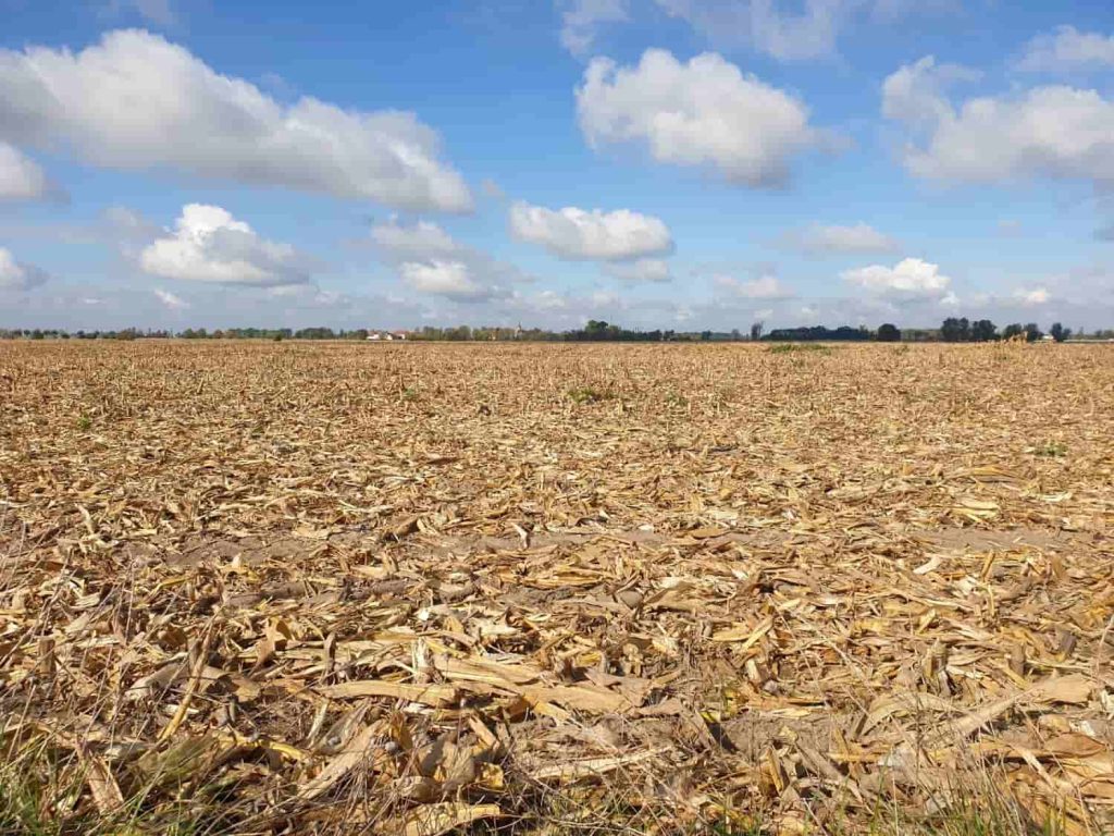 Paisaje de sequía en Uruguay: Pasto seco en un valle con cielo nublado