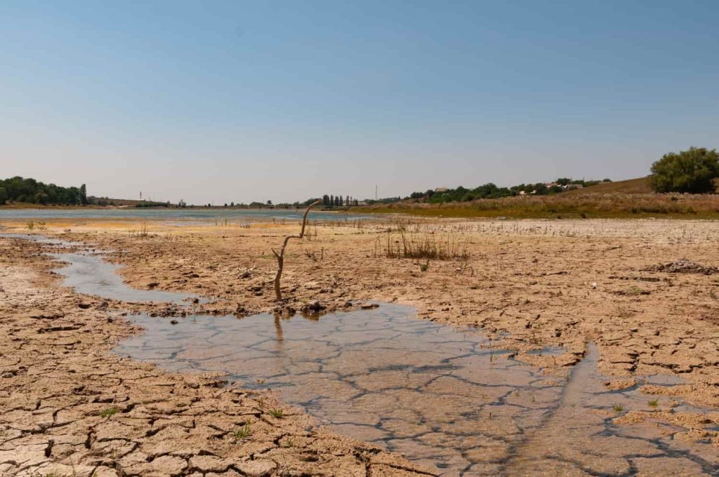 Impacto de la sequía y cambio climático en Uruguay: Tierra reseca y agrietada