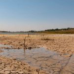 Impacto de la sequía y cambio climático en Uruguay: Tierra reseca y agrietada