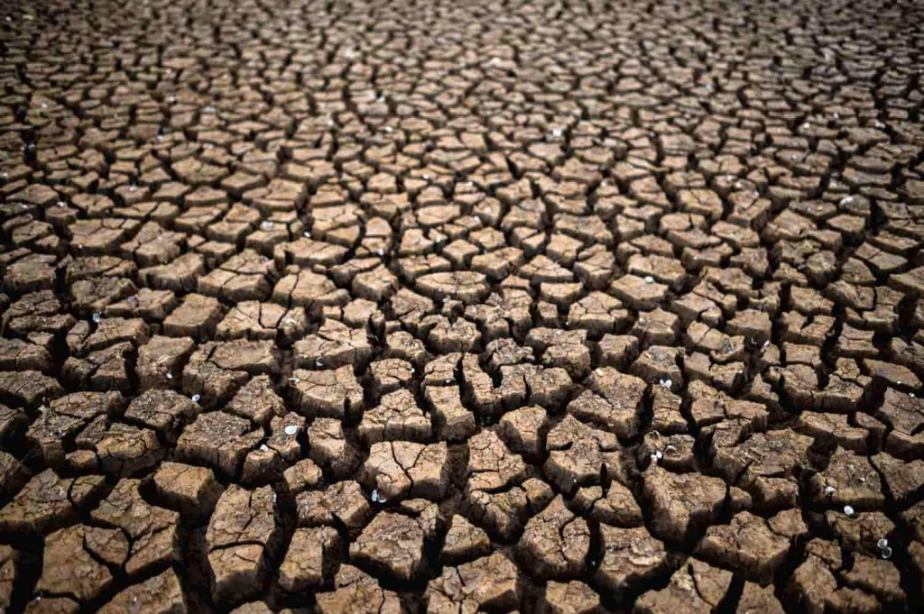 Sequía en Uruguay: Tierra árida y agrietada debido al cambio climático