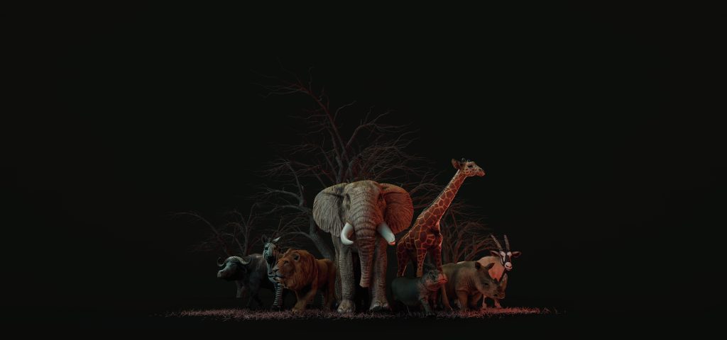 large group of wild animal zoo