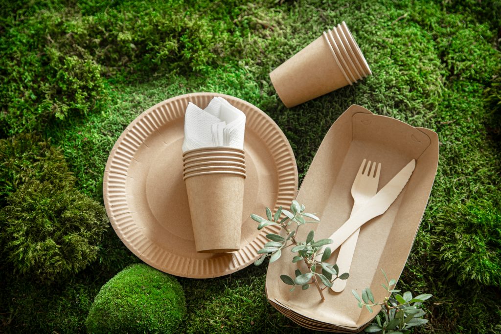 Eco-friendly, stylish, disposable, convenient, beautiful recyclable tableware.