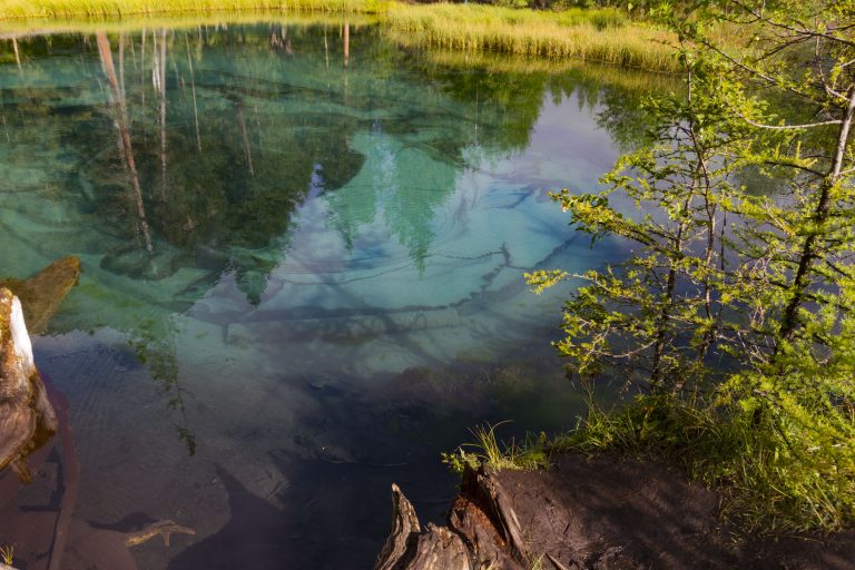 Ley de Humedales en Argentina: un desafío en la conservación por Martin Prieto Greenpeace