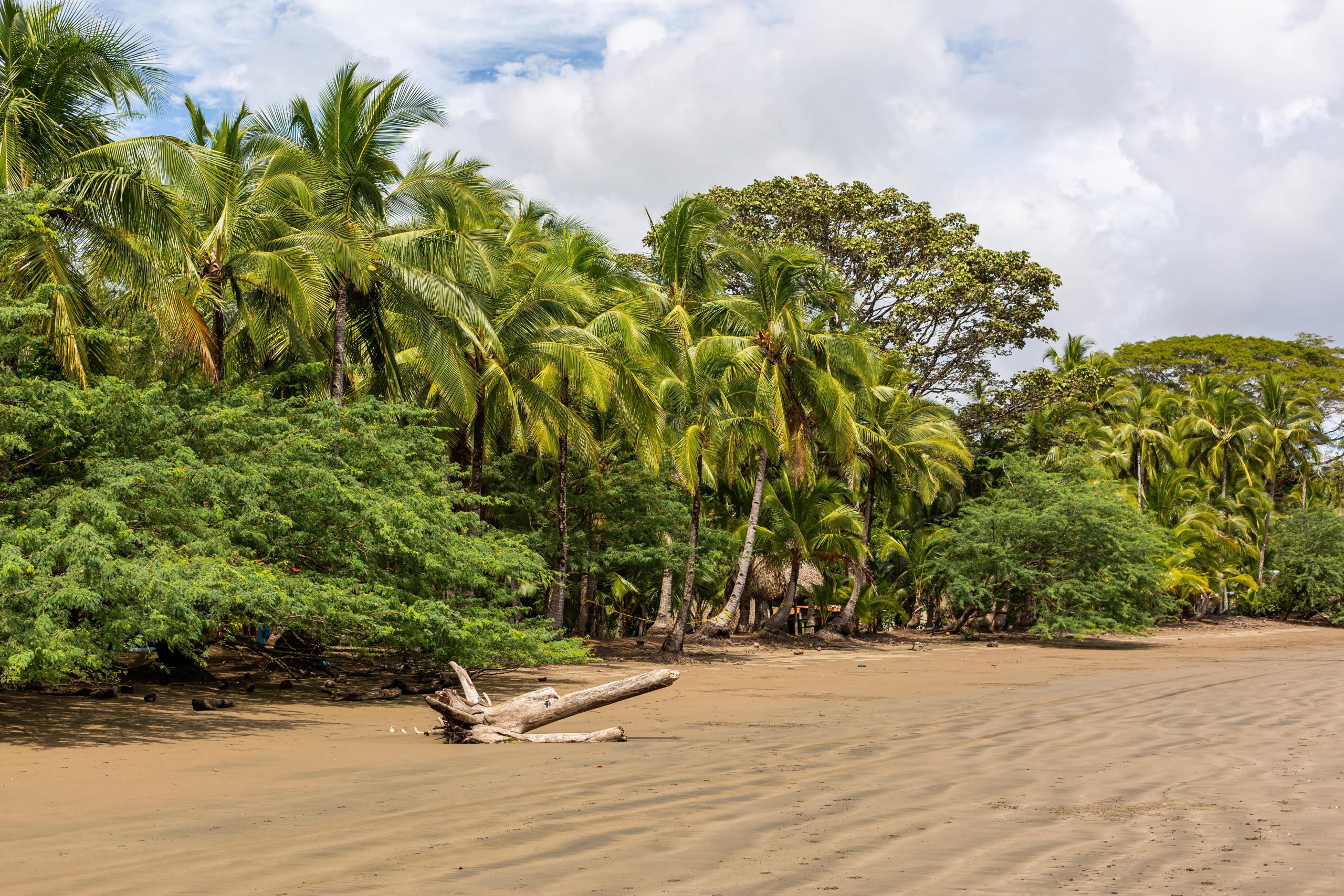 La Biodiversidad de Madagascar – Accion Biodiversidad