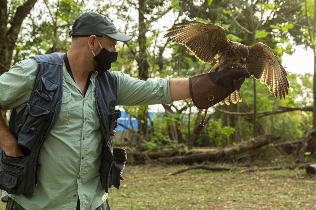 SOS Biodiversidad : Colombia sufre una alarmante pérdida de flora y fauna nativas. 