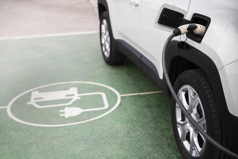 Carretera electrificada: desafío en la conservación