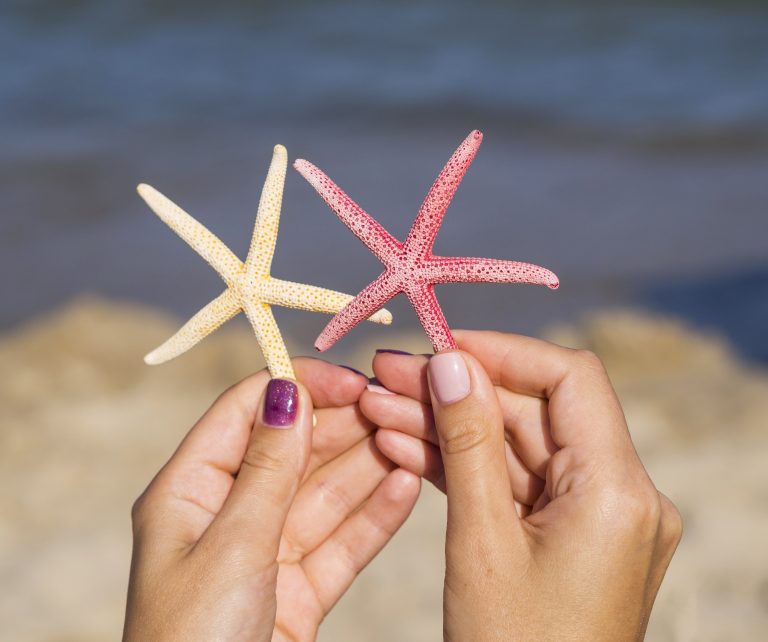 Los mares más limpios del mundo ¿Cómo conservar la riqueza marina?