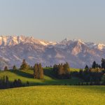 ¿Cómo afecta el cambio climático a los cultivos?