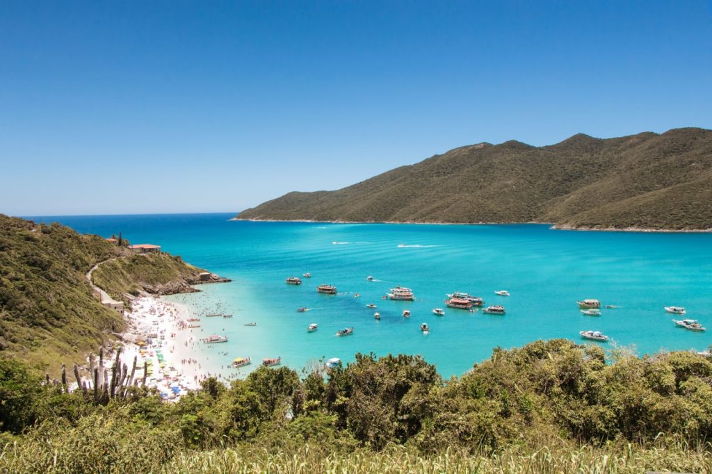 La diversidad biológica de Brasil