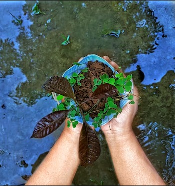Una visión acerca del estado de la biodiversidad en Latinoamérica.