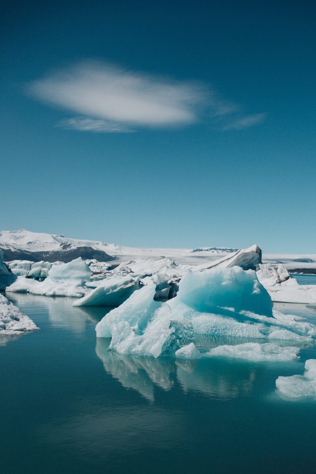 El calentamiento de la Tierra y su impacto en la biodiversidad y el tiempo