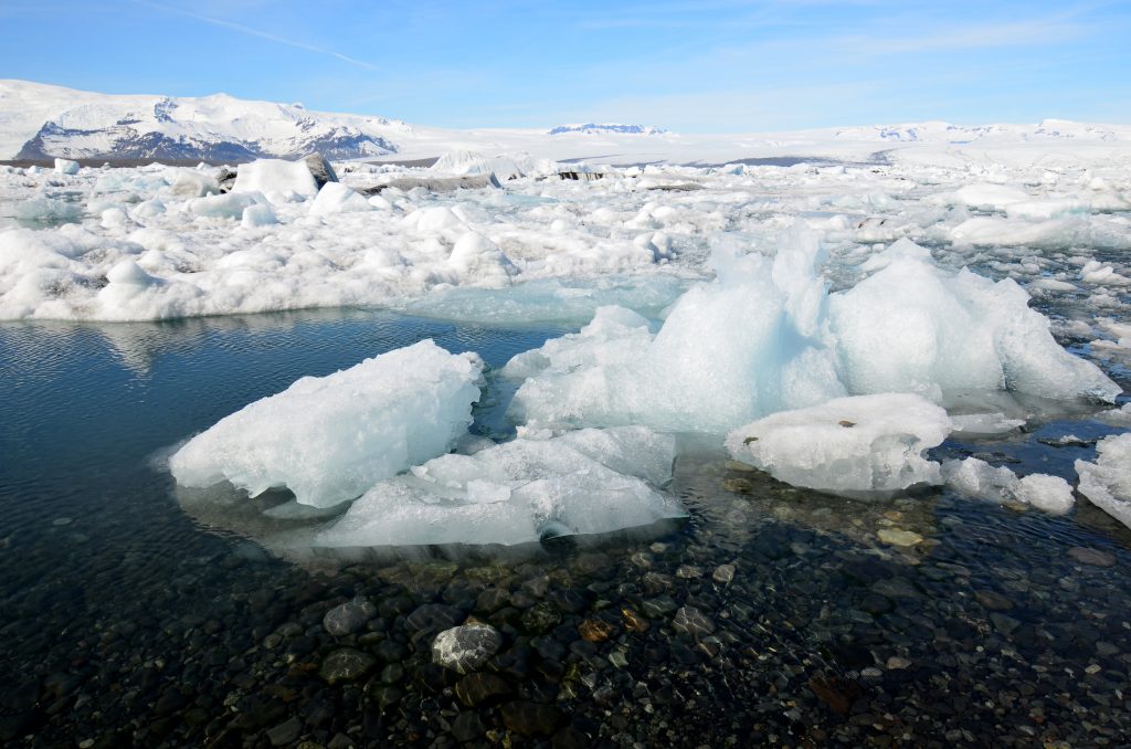 Los icebergs, un componente clave en el ecosistema marino por Martin Prieto Greenpeace
