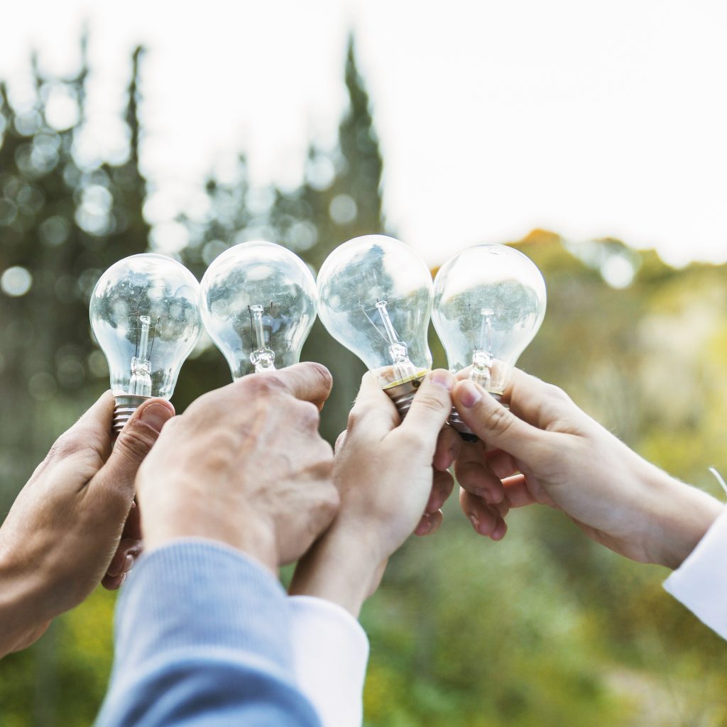 ¿Qué es la eficiencia energética y cómo se relaciona con la biodiversidad?