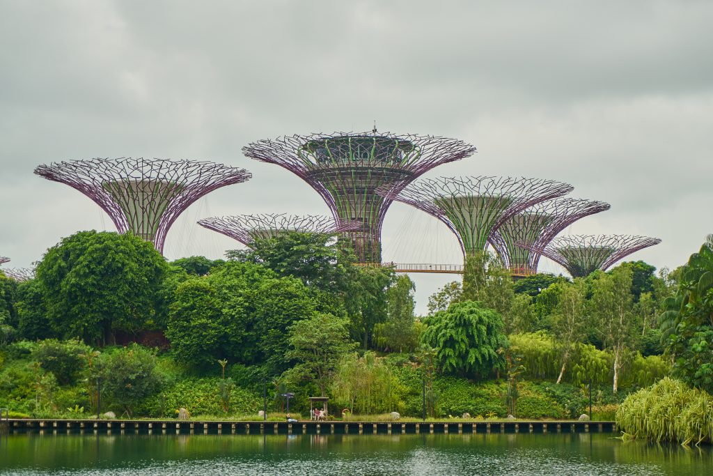 La pérdida de Biodiversidad de Singapur por Martin Prieto Greenpeace